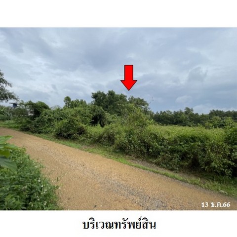 ขายที่ดินว่างเปล่า ถนน อัมพวา ตำบล คลองแห อำเภอ หาดใหญ่ จังหวัด สงขลา