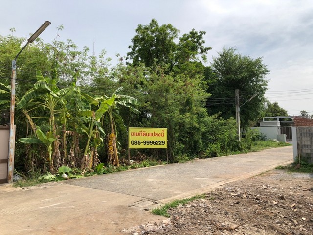ขายที่ดิน 2 แปลงติดกัน 322 ตรว. ซอยชินเขต หลักสี่(ตลาดขวัญ) ที่ดินแปลงสวยเหมาะสำหรับปลูกบ้าน ทาวน์เฮ้าน์ ฯลฯ