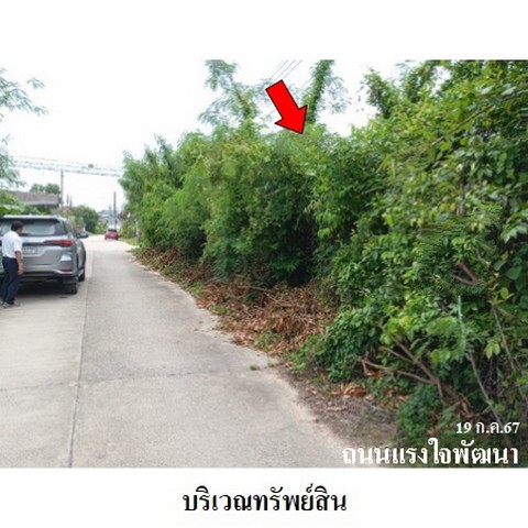 ขายที่ดินว่างเปล่า ถนน แรงใจพัฒนา ตำบล นาทวี อำเภอ นาทวี จังหวัด สงขลา