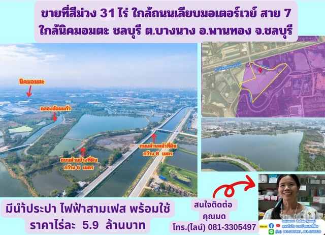 ขายที่สีม่วง 31 ไร่ ใกล้ถนนเลียบมอเตอร์เวย์ สาย 7 ใกล้นิคมอมตะ ชลบุรี ต.บางนาง อ.พานทอง จ.ชลบุรี