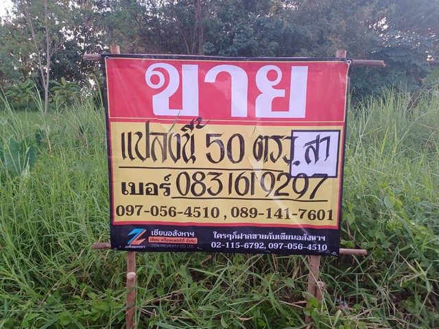 ขายที่ดินเปล่าราคาถูก ทำเลดี 50วา เย็นจิตร ซอย9 บ้านคลอง เมืองพิษณุโลก ZK602