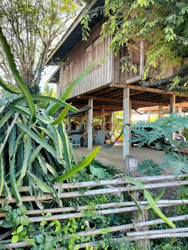 ขายด่วน บ้าน 2 ชั้น ใต้ถุนโล่ง พร้อมที่ดิน ติดถนนดำ อำเภอลาดยาว นครสวรรค์ โทร 092-6869618