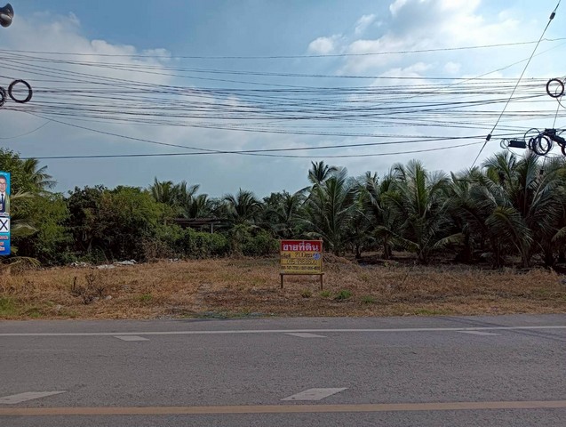 ขายที่ดิน 200 วา ทำเลดี ติดถนน ธรรมชาติ นางตะเคียน เมืองสมุทรสงคราม ZW630