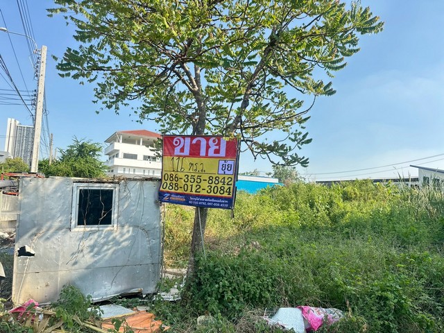 ขายที่ดิน 116 ตารางวา ซอยลาซาล 54 บางนา ใกล้รถไฟฟ้าศรีลาซาล ZT858
