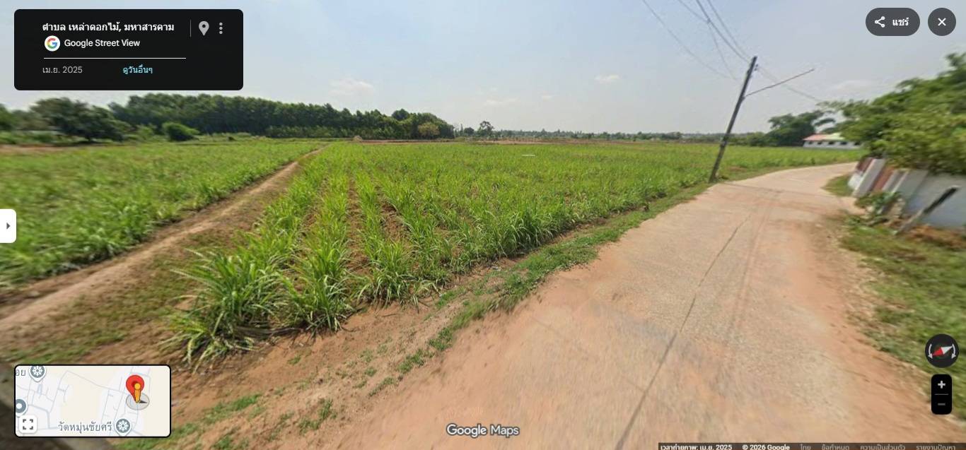 ขายที่ดินเปล่า ทำเลดี ตำบลเหล่าดอกไม้ อำเภอชื่นชมมหาสารคาม