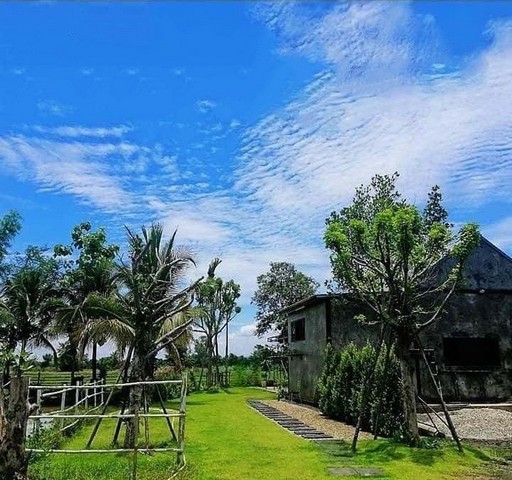 บ้านสวน 2 หลัง บรรยากาศดี ร่มรื่น มีบ่อน้ำ สันป่าตอง