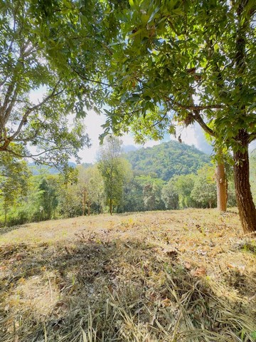ที่ดินวิวเขา ทำเลศักยภาพ ท่ามกลางธรรมชาติ แม่ริม