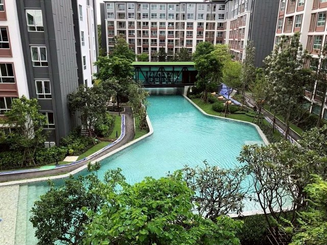 คอนโด วิวสระว่ายน้ำ บรรยากาศผ่อนคลาย Dcondo Ping