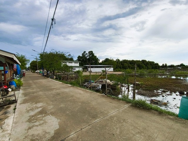 ขายที่ดินแปลงสวย 300 ตร.ว. บางปู หน้ากว้าง 42 ม. ทำเลชุมชน เหมาะสร้างบ้าน / โฮมออฟฟิศ / ลงทุนระยะยาว ซอยเทศบาลบางปู 126 (ซอยคลองตาก๊ก)
