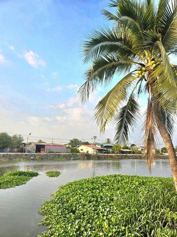 ให้เช่าบ้านเดี่ยวชั้นเดียว รีโนเวทใหม่ อยู่ตำบลบางปลา อำเภอบางเลน