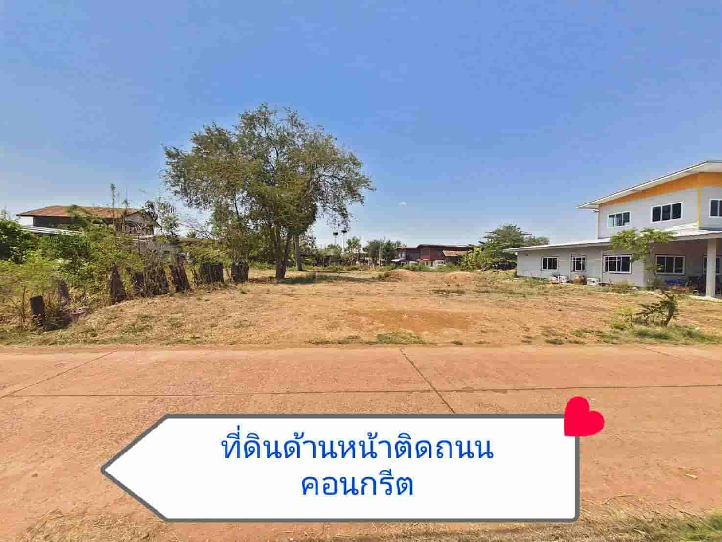 ขายถูกมาก!! ที่ดิน 300 ตร.ว. ติดถนน ใจกลางแหล่งชุมชน บ้านผักตบ อ.หนองหาน อุดรธานี ใกล้ตัวเมืองอุดรฯ
