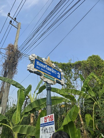 ID : - ขายด่วน ที่ดิน - 23000 THB ไม่ไกลจาก โรงเรียนปทุมวิไล ศาลากลางปทุมธานี โลตัสปทุมธานี โรงพยาบาลปทุมธานี อยู่ย่านใจกลางเมืองปทุม เขตชุมชน เดินทางสดวกสบาย