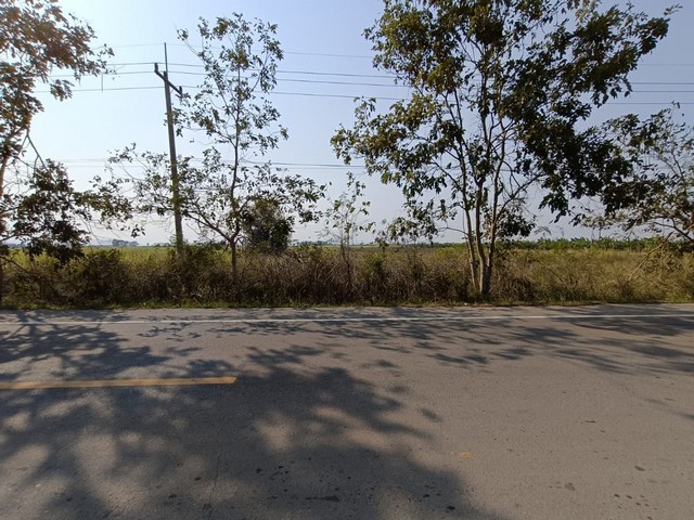 ขายที่ดินว่างเปล่า ถนนสายบ้านหนองคล้า-บ้านหนองตะเภา เพชรบุรี