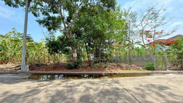 ที่ดินถมแล้ว หมู่บ้าน ชัยพฤกษ์ วงแหวน - รัตนาธิเบศร์ ซอยวัดลาดปลาดุก ราคาถูก