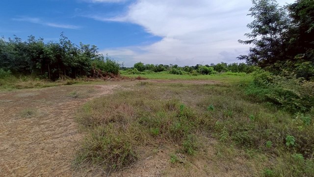 ขายที่ดินวางเปล่า ถนนสายอำเภอบรบือ-บ้านแก้งน้อย อำเภอบรบือ มหาสารคาม