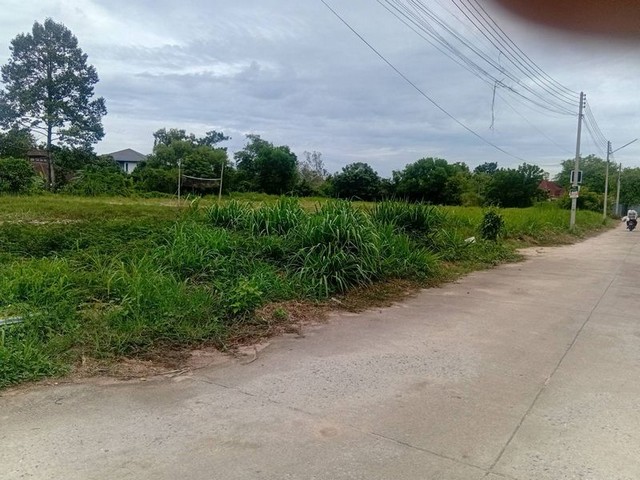 ขายที่ดินเปล่า เส้นนาพร้าว ศรีราชา แปลงสวย หัวมุม แหล่งชุมชน FP-L02004