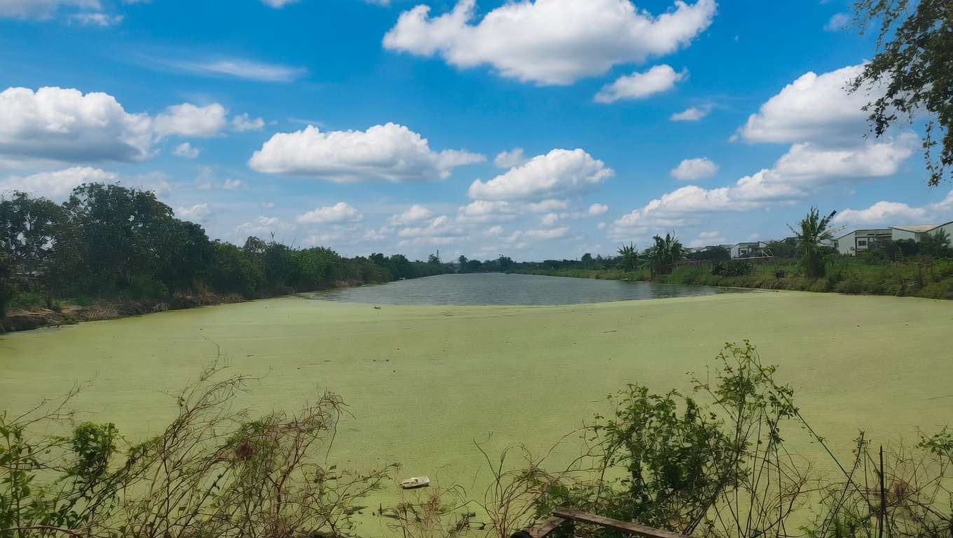 ที่ดินทำเลทอง ใกล้สนามบินสุวรรณภูมิเพียง 15 นาที ติดถนนวัดศรี จ.สมุทรปราการ 2