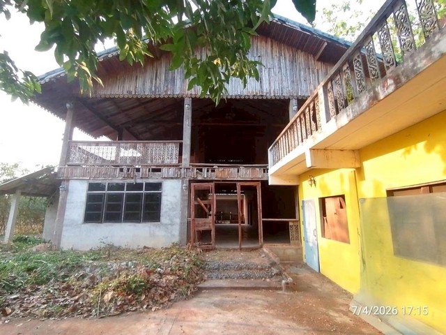 บ้านเดี่ยว ขอนแก่น ถนน เทศบาลพัฒนา อำเภอ ชุมแพ จังหวัด ขอนแก่น