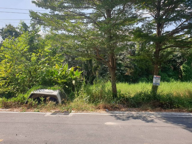 พื้นที่ดิน - 10 ตรว. 0 ngan 0 ไร่ 1000000 บาท ซื้อไว้มีแต่กำไร ปทุมธานี
