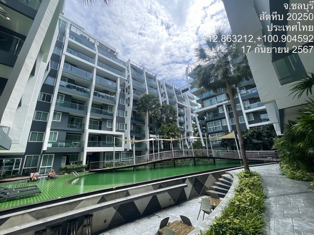 ขายที่บ้านแพ้ว ที่ดินสวนส้ม ติดถนนทางหลวงชนบท อส่วนตัว สงบ ร่มรื่น 2