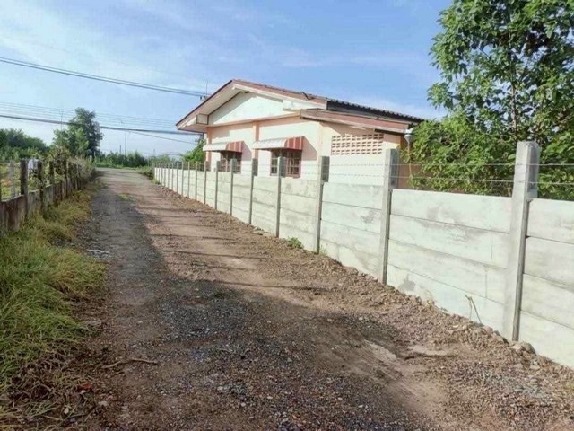ขาย ที่ดิน - 0 Rai 0 NGAN 100 ตร.ว. ใกล้ ปั๊มปตท. ตลาด หนองเสือ หนองหมู วิหารแดง N I C E!