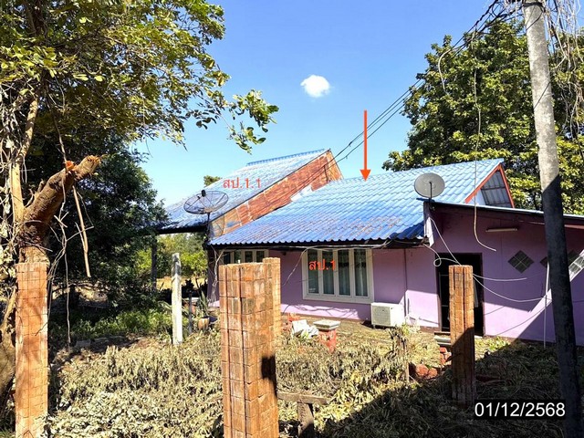บ้านเดี่ยว กาฬสินธุ์ ถนน สายมหาสารคาม - กมลาไสย อำเภอ กมลาไสย จังหวัด กาฬสินธุ์