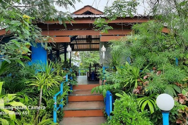 ขายที่ดินพร้อมสิ่งปลูกสร้าง (ร้านอาหาร) เนื้อที่ 1 ไร่ 2 งาน 85 ตรว. ต.สันโป่ง อ.แม่ริม จ.เชียงใหม่
