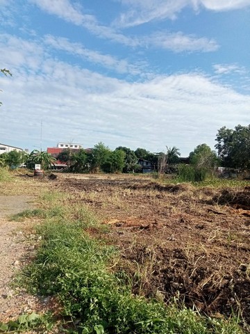 ขายที่ดิน 150 ตร.ว. เฉลิมพระเกียรติ ร.9 ซอย 6 แยก 3 ทำเลดี ใกล้สวนหลวง ร.9 และซีคอนสแควร์