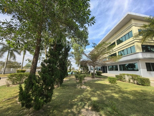 ขายที่ดินพร้อมโรงงานชลบุรี เนื้อที่ 57-3-58 ไร่ พร้อมใบอนุญาตโรงงาน รง.4 บ่อทอง ชลบุรี ห่างจากถนน 331 เพียง 2 กม ผังสีเหลือง