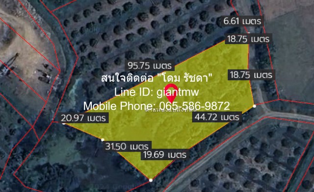 ที่ดิน ขายที่ดินสวนลำไย ต.ขุนดง อ.หางดง จ.เชียงใหม่ (น.ส.4 จ) 2500000 บาท ^^ เป็นที่ดินทรงสี่เหลี่ยมคางหมู ติดทางสาธารณะประโยชน์ 2 ด้าน มีต้นลำไยที่ให้ผลผลิตแล้ว และมีรายได้แล้ว อยู่ในพื้นที่ที่มีอากาศเย็น มีลมพัดเย็นสบายตลอดทั้งปี และมีเนื้อที่ที
