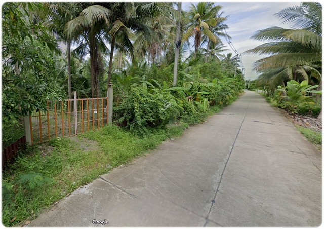 บ้านสวนทรงไทยริมน้ำ นั่งชมหิ่งห้อยได้จากระเบียงบ้านและท่าน้ำ เหมาะกับการผักผ่อน