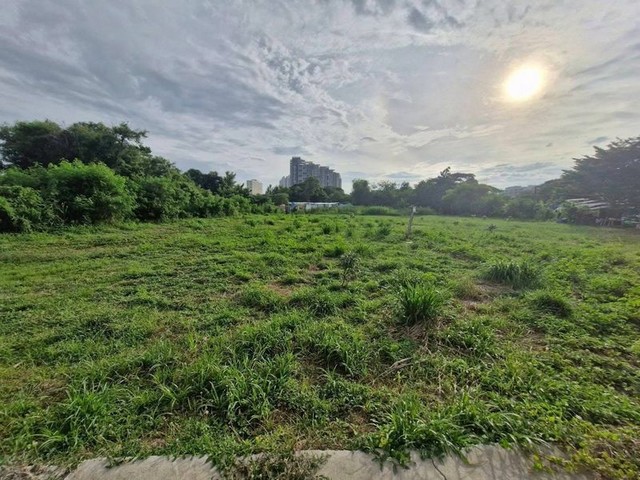 ขายที่ดินพัทยา ฝั่งทะเล แปลงสวย ทำเลทอง ใกล้ชายหาดจอมเทียน FP-L02066