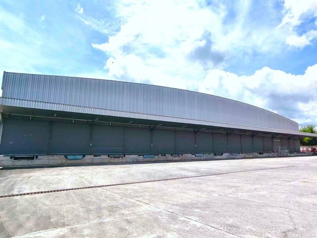 ให้เช่าโกดังคลังสินค้าราคาถูกบ้านบึง โกดังคลังสินค้าให้เช่าขนาด 14,800 ตรม. ราคาค่าเช่า 70 บาท/ตรม