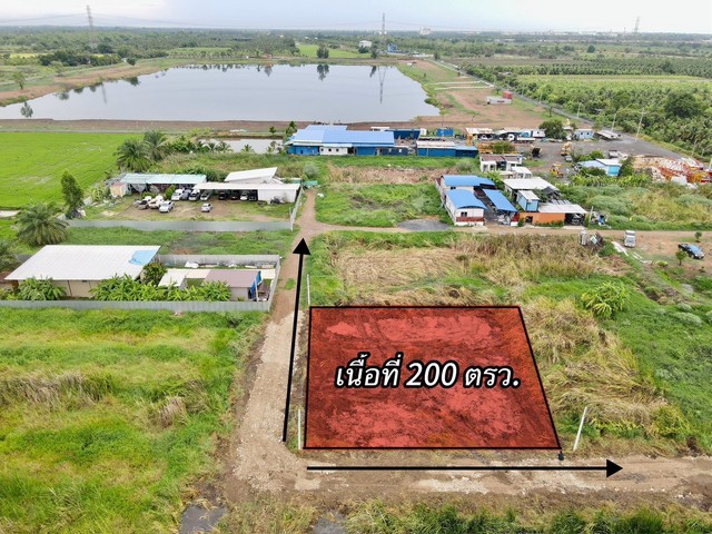 ที่ดินใกล้กรุงฯ คลอง9หนองเสือ ใกล้ชุมชน 200ตรว. เพียง 7.5แสนเท่านั้น ปทุมธานี To86-3ol-6l6l ใกล้ตลาด ใกล้ชุมชน เหมาะปลูกบ้าน ทำบ้านสวนเกษตร