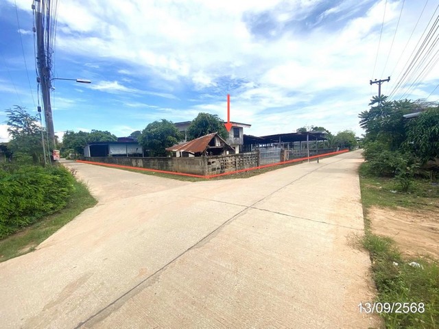บ้านเดี่ยว กาฬสินธุ์ ถนน สายบ้านเหล่าอ้อย - บ้านด่านใต้ อำเภอ ร่องคำ จังหวัด กาฬสินธุ์