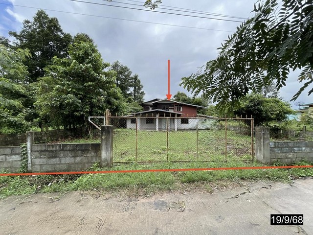 บ้านเดี่ยว กาฬสินธุ์ ถนน เลียบคลองชลประทาน อำเภอ ยางตลาด จังหวัด กาฬสินธุ์