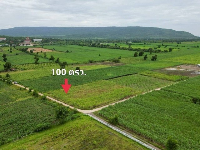 1 ขาย ที่ดิน ถูกสุด ที่วิวเขา ติดถนนคอนกรีต1แสนบาท 100ตรว. วังเพลิน โคกสำโรง ลพบุรี T .086-301-6161 ใกล้กับ วิวเขาสวยมากค่ะ 100 ตร.วา