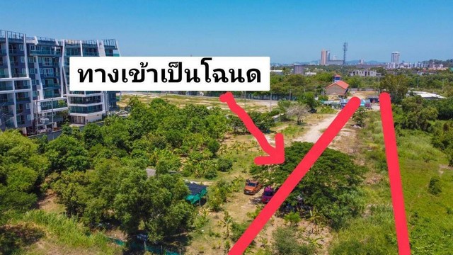 ขายที่ดิน 8 ไร่ 217 ตารางวา ฝั่งทะเล นาจอมเทียน อำเภอสัตหีบ จังหวัดชลบุรี