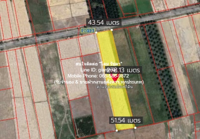 DSL-177 ขาย ที่ดิน ที่ดินทุ่งนา (วิวเขา) ต.ชัยบุรี อ.เมืองพัทลุง จ.พัทลุง 7-2-10 ไร่ พัทลุง เมืองพัทลุง 7 ไร่ 2 งาน 3010 ตารางวา ใกล้กับ องค์การบริหารส่วนตำบลชัยบุรี
