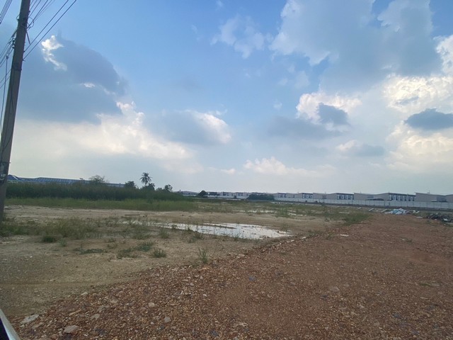 ขายที่ดินเปล่า 48 ไร่ พุทธมณฑลสาย 5 สามพราน นครปฐม เหมาะทำบ้านจัดสรร