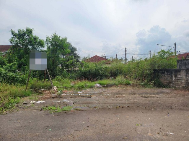ขายที่ดินว่างเปล่า ซอยศรีวิชัย 59 แยก 8 ถนนศรีวิชัย สุราษฎร์ธานี