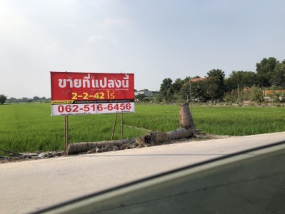ราคานี้หาแทบไม่ได้แล้ว! ที่ดินใกล้ถนนราชพฤกษ์เพียง 1 กม.