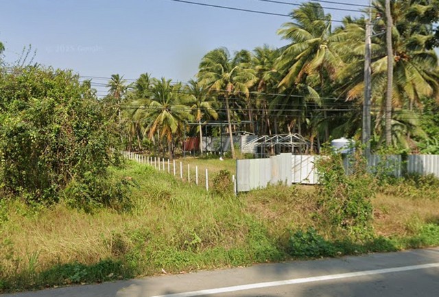 ขายที่ดินสวนมะพร้าว พร้อมบ้านพัก + คอนเทนเนอร์ 40 ฟุต ฟรี! ใกล้ชายหาด บางสะพาน จ.ประจวบคีรีขันธ์