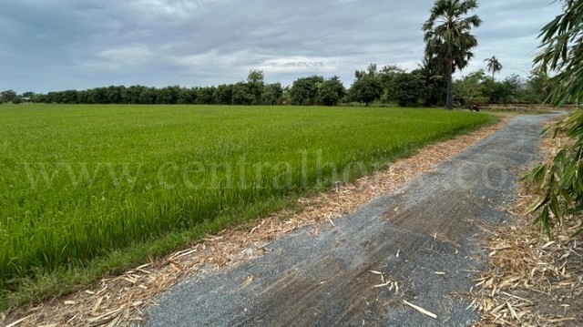 ลดพิเศษ ที่ดิน 9-3-99.5 ไร่ ดอนโพธิ์ - สุพรรณบุรี มีผู้เช่า ทำเลดี