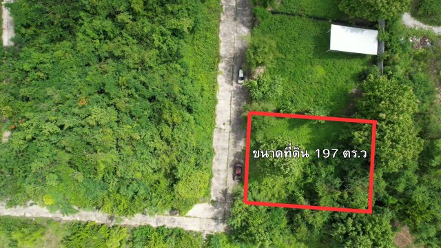 ขายที่ดิน 197 ตร.ว. เพียง 1.576 ล้านบาท | ราคา 8,000 บาท/ตร.ว. | เหมาะสร้างบ้านและลงทุน