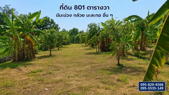 ขายที่ดินถมแล้ว 2-0-01ไร่ โครงการ Wellness City (เวลเนสซิตี้) เพื่อการพักวัยเกษียณ ใกล้ถนนปทุมธานี-สามโคก-เสนา (ทล.3111)อ.บางไทร จ.อยุธยา