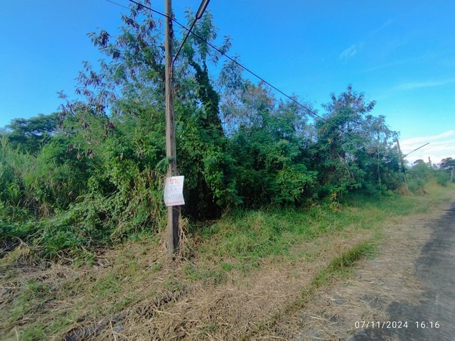 ขายที่ดินเปล่า ขนาด 337 ตร.ว. ถ.ประชาร่วมใจ เขตมีนบุรี กทม