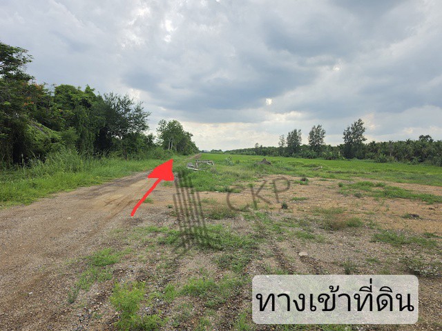 ขาย ที่ดินเปล่า ขนาด 2 ไร่ 259 ตร.วา เหมาะสำหรับทำการเกษตร ปลูกบ้านพักอาศัย โกดังจัดสรร | 93359