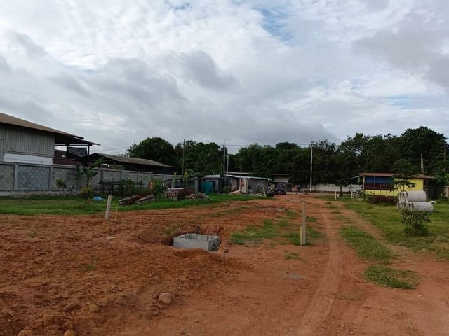 ขายที่ดินศรีราชา นาพร้าว ซอยลุงเทิ้ม แปลงสวย ทำเลดี แหล่งชุมชน FP-L02142