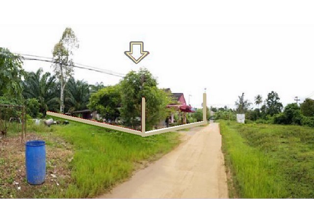 ให้เช่าบ้านเดี่ยว โครงการ มบ. คันทรีโฮม 2 สรุศักดิ์ ศรีราชา ชลบุรี FP-H02157 2